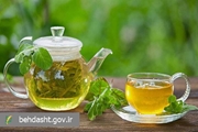 چای سبز؛ گیاهی فراتر از یک نوشیدنی با خواص دارویی قابل‌توجه